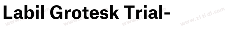 Labil Grotesk Trial字体转换